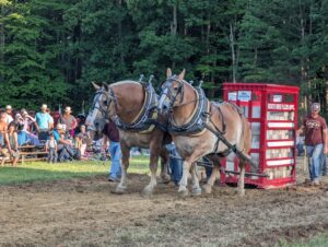 Hartsgrove Power Show 2023